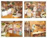 cac化粧品ショップファイン お買得セット品や増量サービス満載 Pm4時迄のご注文は即日発送 cac化粧品ショップファイン お買得セット品や増量サービス満載 Pm4時迄のご注文は即日発送